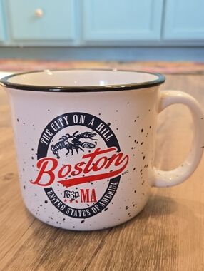Boston City on a Hill White Speckled Ceramic Mug